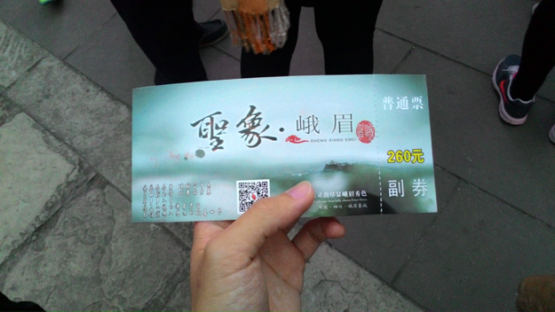 Ticket for night show