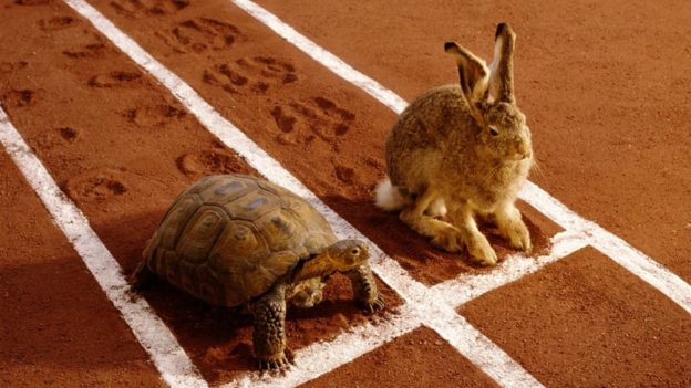 Race between tortoise and hare